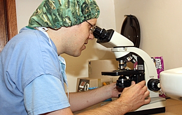 Veterinarian looking in a microscope